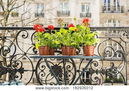Springtime With Red Geraniums On A Paris Balcony