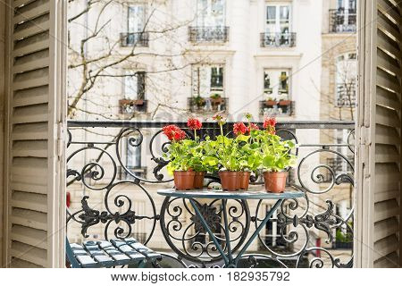 Springtime With Red Geraniums On A Paris Balcony