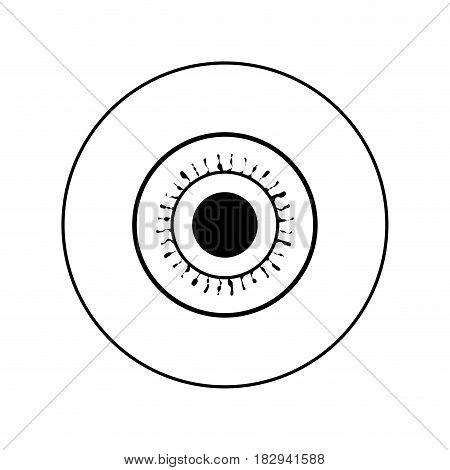 Human eye symbol icon vector illustration graphic design
