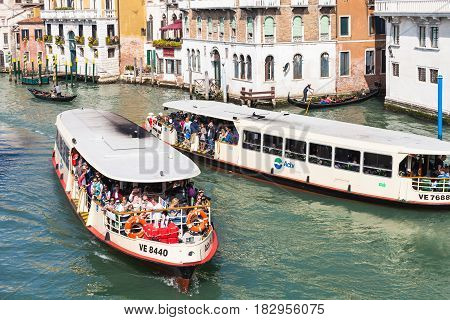 View Of Water Buses In Grand Canal In Venice