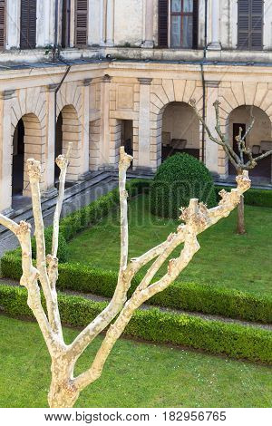 Courtyard In Ducal Palace In Mantua In Spring