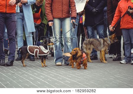 Campaign For The Protection Of Animals