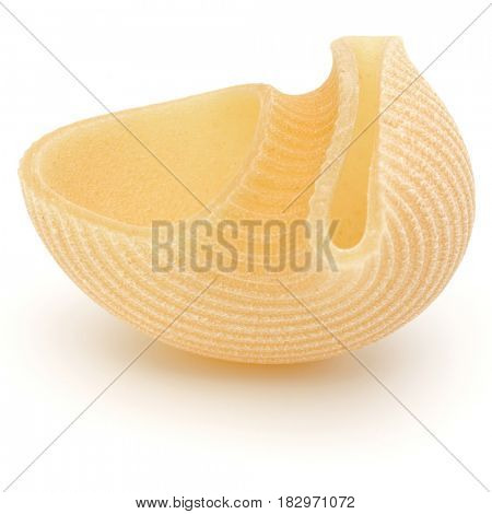Italian lumaconi isolated on white background. Lumache, snailshell shaped pasta.