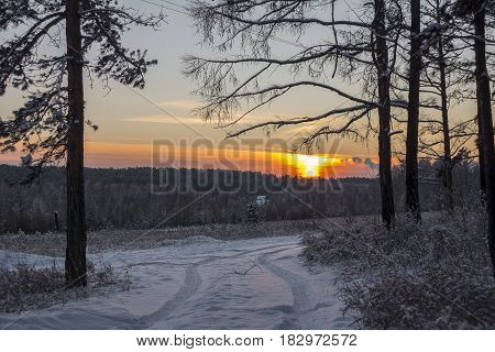 Road in winter forest. Sunset in forest. Winter landscape.