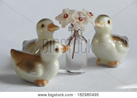 Ducklings and Hoya flowers still life macro shot