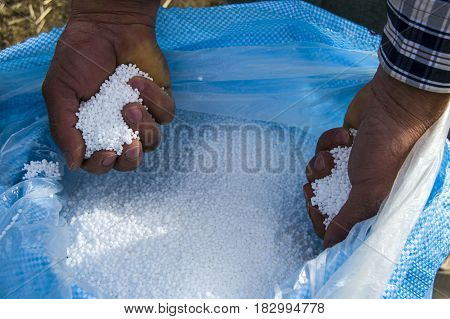 Farmers who fertilize the field with primitive methods, fertilized field pictures, agricultural fertilizer