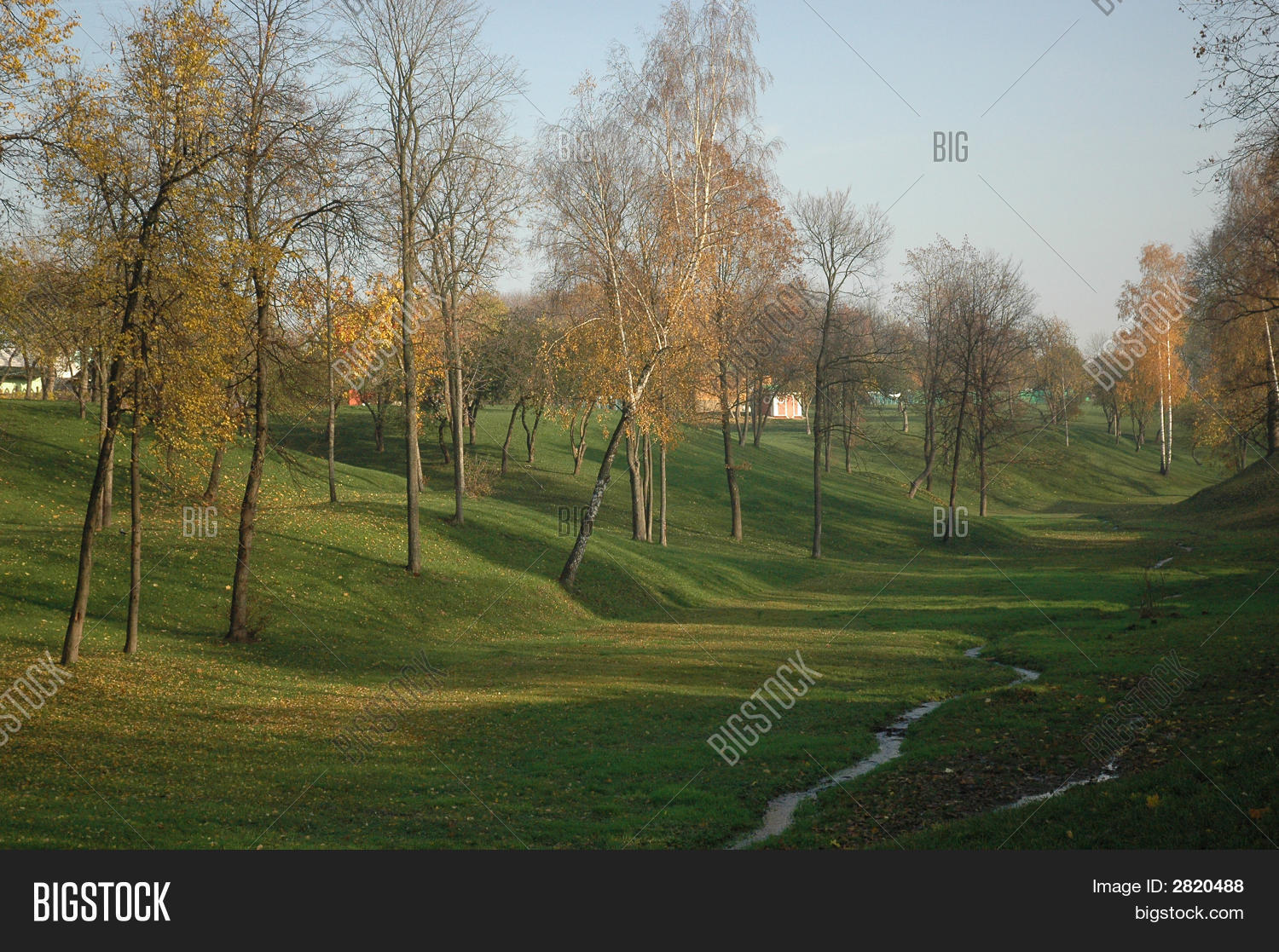 Image Preview