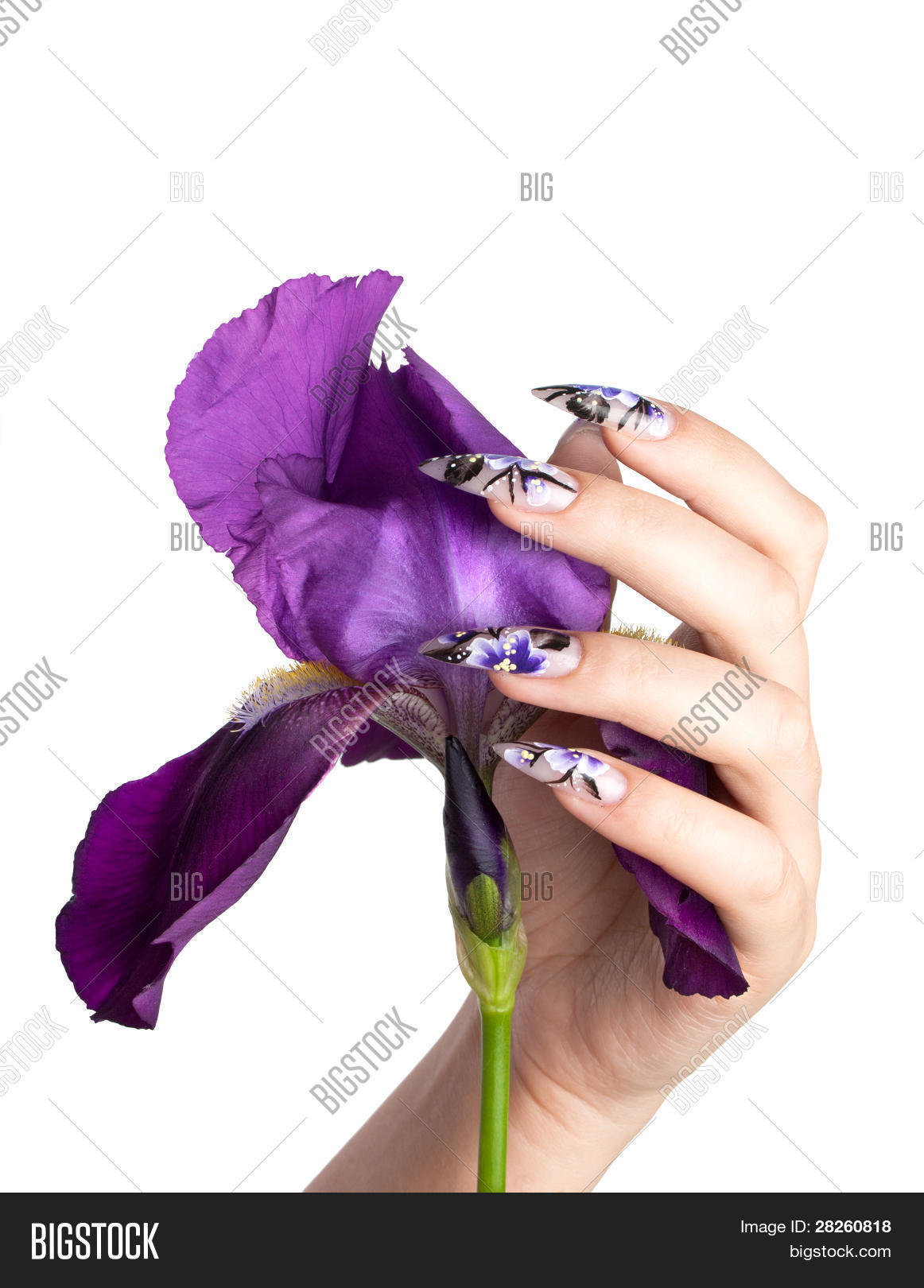 Image Preview