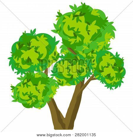 Tree Isolated On White Background. Green Natural Object For Landscape Design, Forest, Park And Outdo