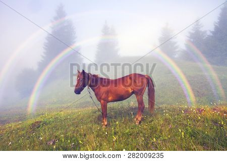 Mountains Foggy Rainbow