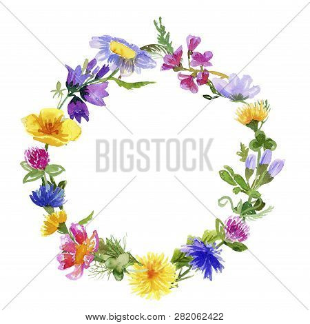 Wreath With Hand-drawn Wildflowers Isolated On White Background With Place For Text. Watercolor Illu