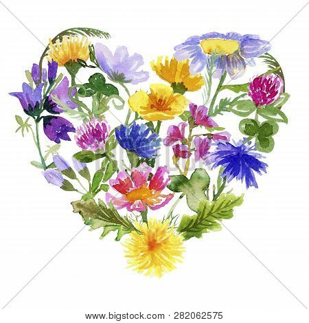 Heart Shaped Composition With Hand-drawn Wildflowers Isolated On White Background. Watercolor Illust