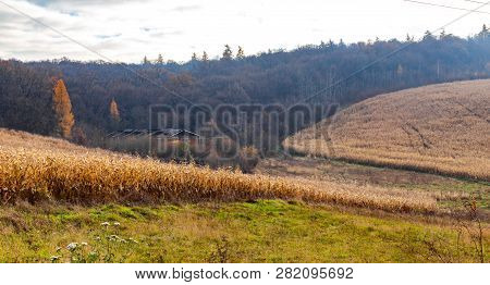 Beautiful Ukrainian Landscape. Road To The Village