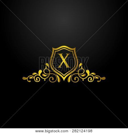 Luxury Shield Logo Vector Photo Free Trial Bigstock