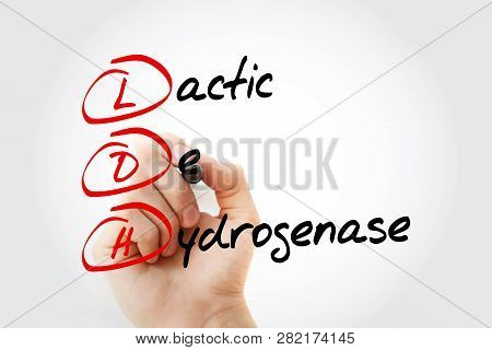 Ldh - Lactic Dehydrogenase Acronym With Marker, Concept Background
