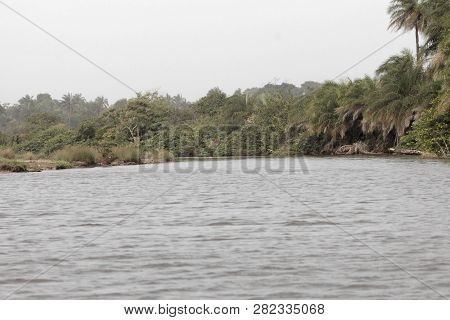 River Scene In The Gambia