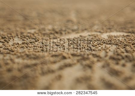 Many Balls Of Sand Made By Sand Bubbler Crab  On A Thailand Beach