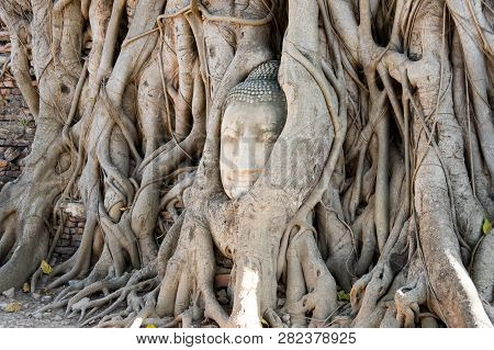 A Stone Head Of Buddha In Wat Prha Mahathat Temple
