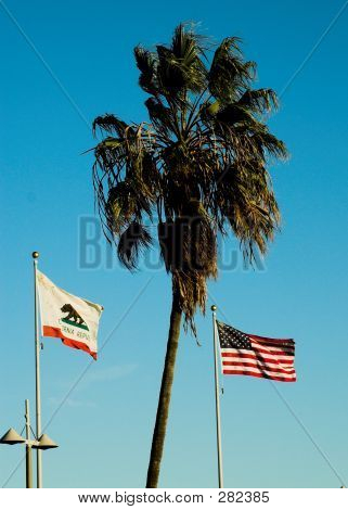 Fahnen und Palmen