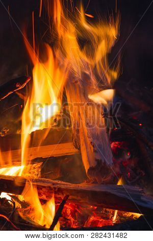 сampfire With Firewood In Forest, сloseup Of Burning Fire With Sparks