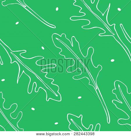 Seamless Pattern With Hand Drawn Drawing Of Ruccola.black  Linear Art Of Arugula. Poster With Health