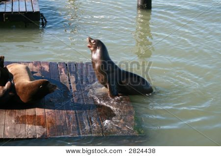 Уплотнения