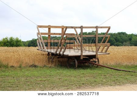 A Loose Hay Hayrack With Metal Wheels.