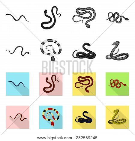 Vector Design Of Mammal And Danger Symbol. Set Of Mammal And Medicine Vector Icon For Stock.