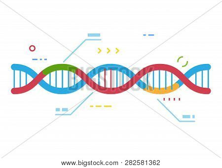 Dna Molecule With Regions With Different Colors. Crisp Cas 9 Gene Repairing Technology. Genetic Repa