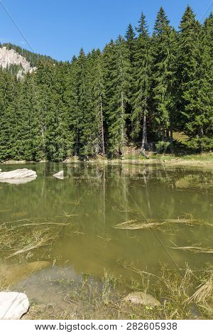 Summer Landscape Of  Saladzha Smolyan Lake At Rhodope Mountains, Smolyan Region, Bulgaria