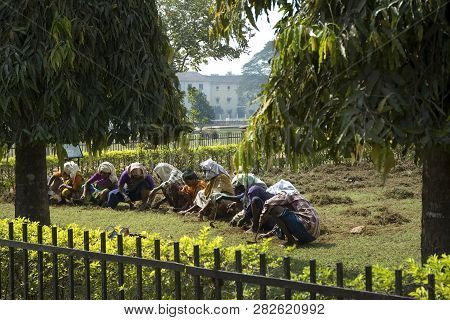 A Group Of Indian Women Working In The Garden. Indian Woman. India, New Delhi-january 29, 2009