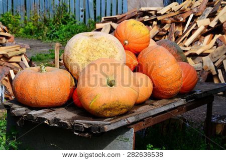 Agriculture Is Well Developed In Altaic Edge