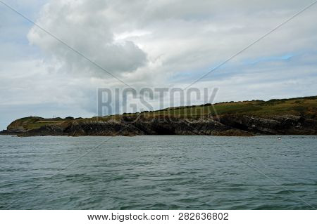 Dolphin Tour Near  Carrigaholt, Co Clare, Ireland