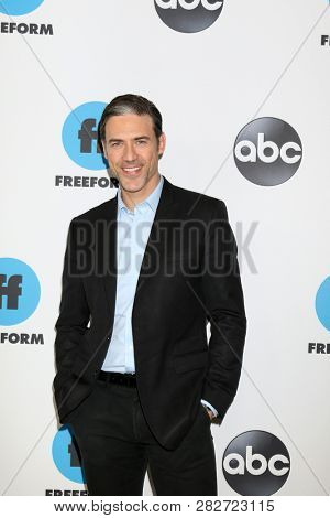 LOS ANGELES - FEB 5:  Adam Rayner at the Disney ABC Television Winter Press Tour Photo Call at the Langham Huntington Hotel on February 5, 2019 in Pasadena, CA