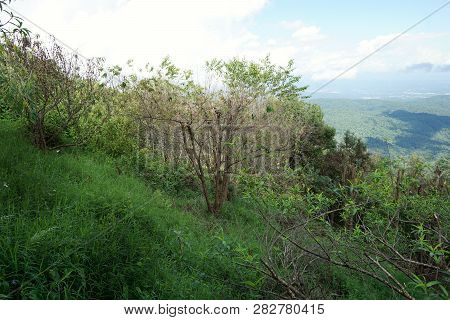 Beautiful Landscape On Mountain With Sky And Cloud, Peace And Relaxation, Beautiful Nature To Make O