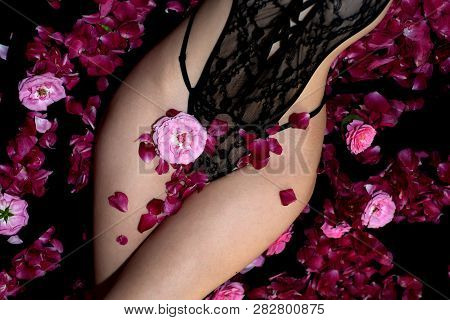 Valentine Dress. Erotic Lingerie. Black Lace Underwear For Sexy Woman Body. Passion And Desire. Pink