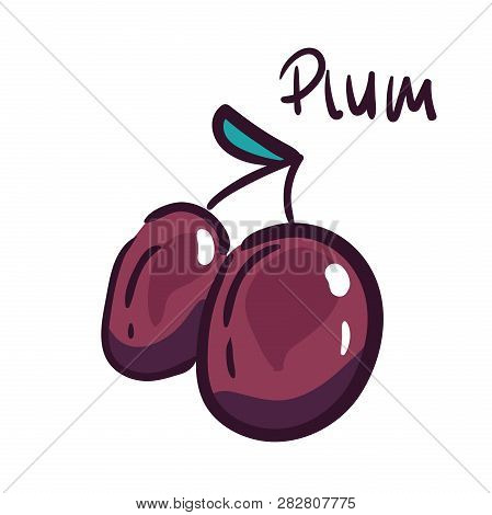 Fresh Juicy Plum Isolated On A White Background. Vector Colorful Plum With A Leaf. Perfect For Juice