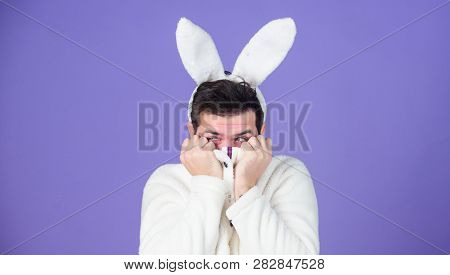 White Bunny Symbol Of Easter Holiday. Soft And Tender. Guy With Long Bunny Or Rabbit Ears On Violet 