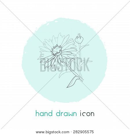 Aster Icon Line Element. Vector Illustration Of Aster Icon Line Isolated On Clean Background For You