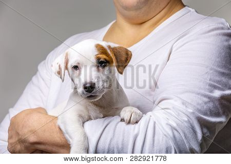 Horizontal Portrait Of Handsome Cheerful Man Holds Jack Russell Terrirer, Has Glad Expression