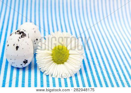 Easter Abstract Gift Card On Light Blue And White Textured Background With Easter Eggs   And Flower 
