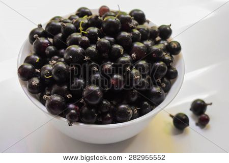 Black Currant Berries On A White Background