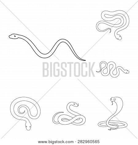 Vector Design Of Poison And Evil Sign. Set Of Poison And Bite Stock Vector Illustration.