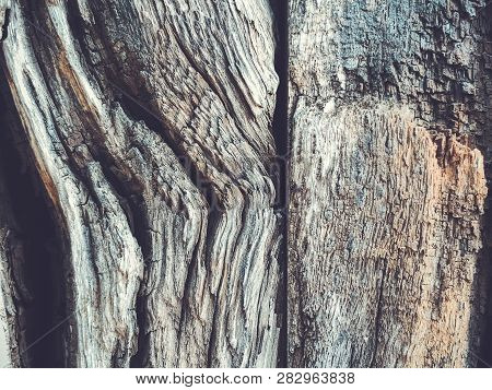 The Structure Of Wooden Fence. Shot From Close View.