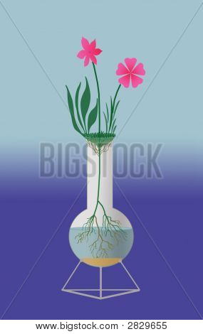 Flowers In The Retort