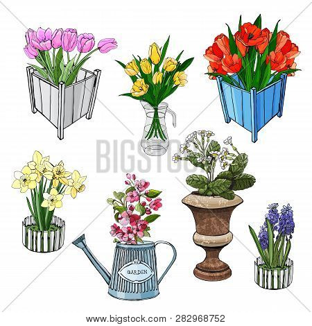 Set Jof Different Spring Flowers In Containers. Hand Drawn Objects In Sketch Style Isolated On White