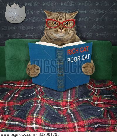 A Beige Big Eyed Cat In Glasses Is Reading A Book Called Rich Cat, Poor Cat. He Is In Bed At Home.