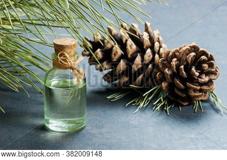 Pine Turpentine Essential Oil In Glass Bottle With Pine Coniferous Leaves And Pine Cone On Rustic Ta