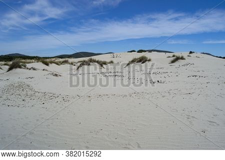View Of The Arenas Biancas Beach And His Dunes, Teulada, Sulcis