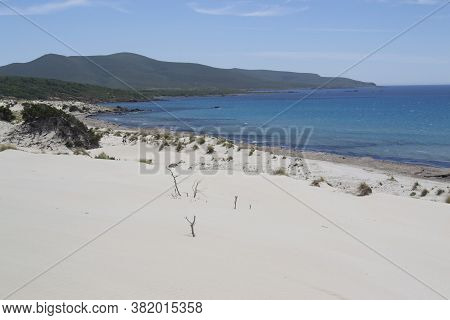View Of The Arenas Biancas Beach And His Dunes, Teulada, Sulcis